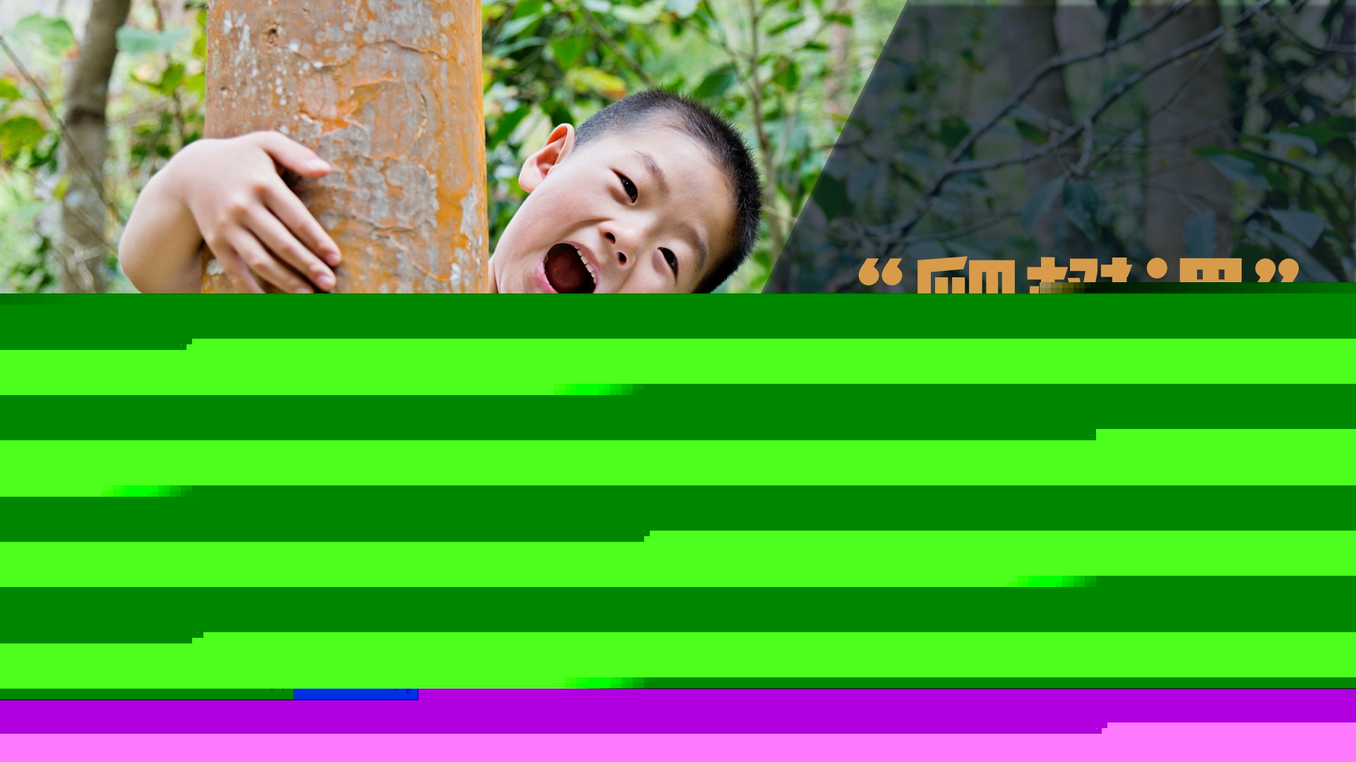 “要讓每一位學(xué)生都會(huì)爬樹”，“爬樹課”值得推廣嗎？